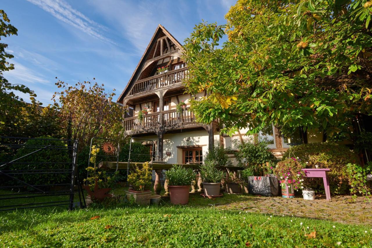 La Cour De Lise Maison D'Hotes Et Spa Willgottheim Εξωτερικό φωτογραφία